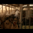 vlcsnap-2018-11-26-19h26m52s856.png