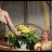 vlcsnap-2018-12-06-12h26m56s965.png