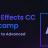 The Complete Adobe After Effects Bootcamp Basic to Advanced.jpg