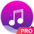 Music player - pro version.png