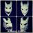 vRBsOiNW2eQ.jpg