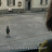 vlcsnap-2026-06-13-11h05m28s708.png