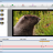 NCH Express Animate screen.png