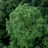 vlcsnap-2020-05-14-20h17m15s654.png