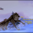 vlcsnap-2018-09-25-11h26m39s980.png