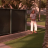 vlcsnap-2020-05-23-06h13m54s090.png