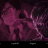 vlcsnap-2019-07-15-19h26m03s087.png