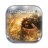 photolab9 original.png