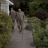 vlcsnap-2019-11-13-19h14m56s303.png