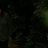 vlcsnap-2020-05-16-01h56m29s928.png