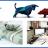 Complete Trading Strategy For Intermediate.jpg