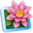 LilyView.png