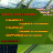 vlcsnap-2019-02-04-17h32m37s363.png