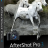 Senza titolo-1.png