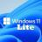 Windows 11 Pro Lite.jpg