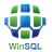 Synametrics Technologies WinSQ.png