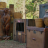 vlcsnap-2026-05-01-16h50m55s227.png