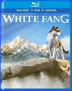 zann.jpg