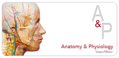 banner_anatomy-physiology.png