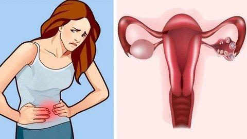 Hormonal Nutrition.jpg