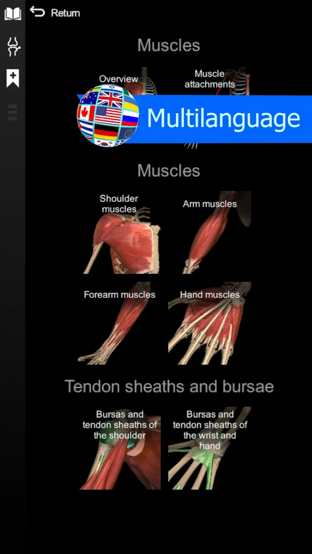 Anatomy Learning - 3D Anatomy sc.png
