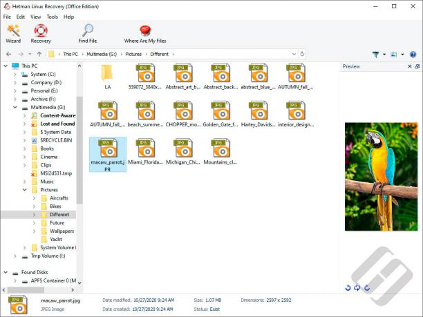 Hetman Linux Recovery sc.jpg