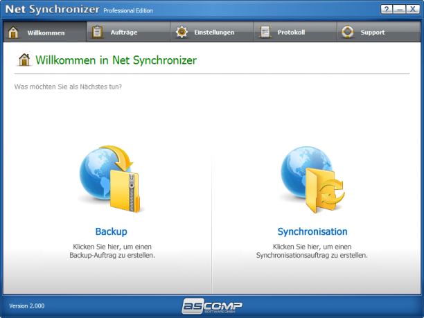 Net Synchronizer Professional sc.png