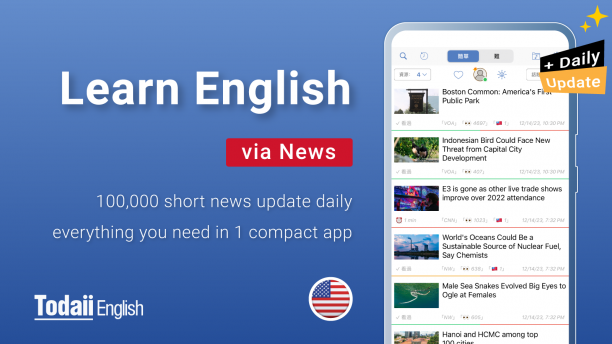 Todaii Learn English sc.png