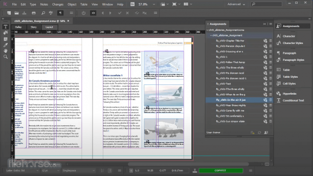 Adobe InCopy screen.png