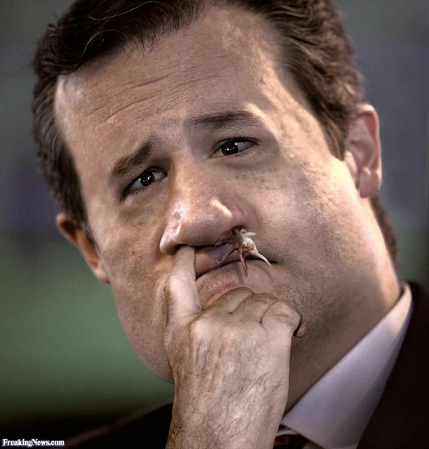 Ted-Cruz-Eats-A-Booger-128363 (1).jpg