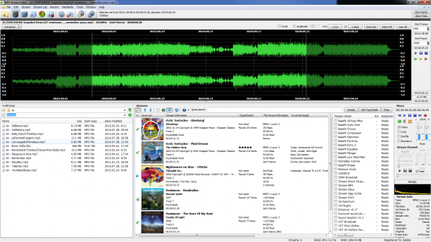 3delite MP4 Stream Editor screen.png