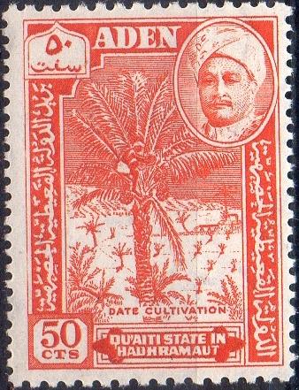 AD-QSH-34.jpg