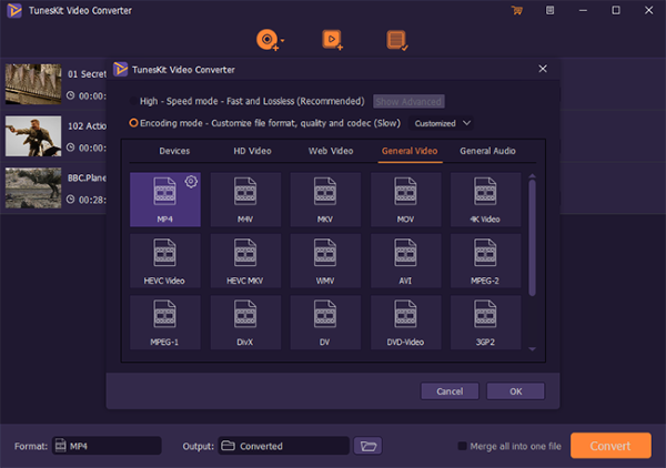 TunesKit Video Converter sc.png