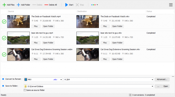 Tomabo MP4 Converter Pro screen.png