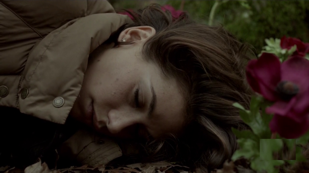 vlcsnap-2015-02-22-13h48m50s140.png