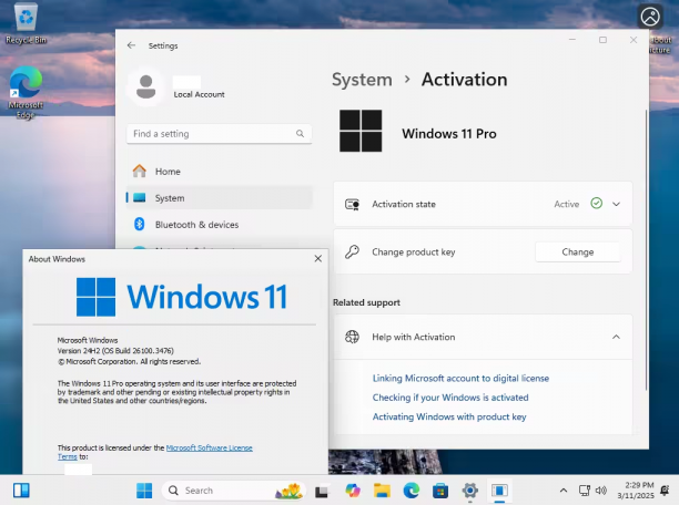 Windows 11 24H2 Build 26100.3476 9in1.png