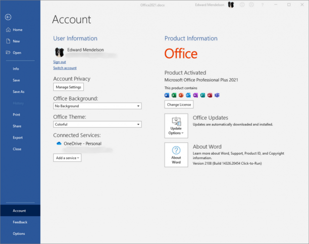 Microsoft Office Professional Plus 2021 screen.png
