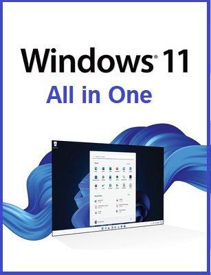 Windows 11 AIO.jpg