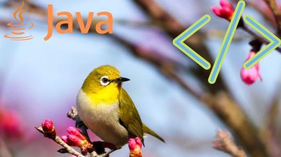 Java Programming and Spring Boot Microservices.jpg