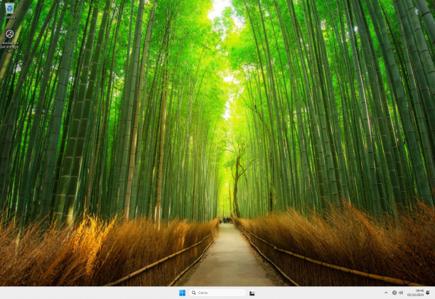 Windows 11 Enterprise LTSC 24H2 sc.png