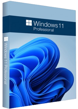 Windows 11 Pro 24H2.png