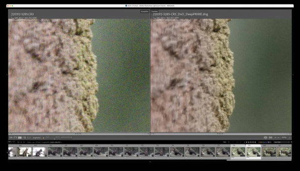 DxO PureRAW screen.png