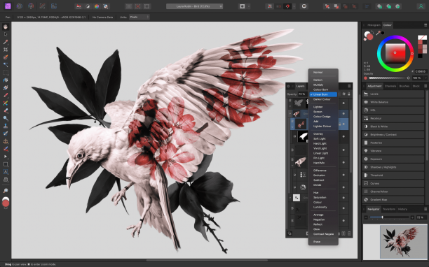 Serif Affinity Photo screen.png