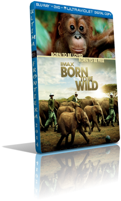 born to be wild mkv.png