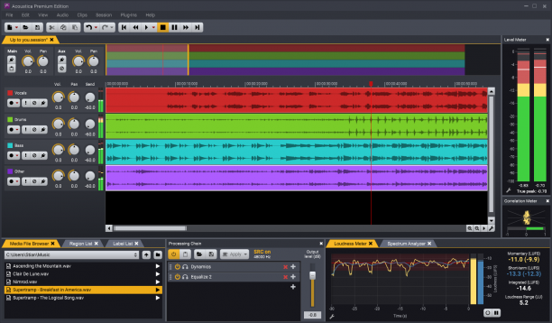 Acon Digital Acoustica screen.png