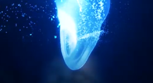 Screenshot_82.PNG