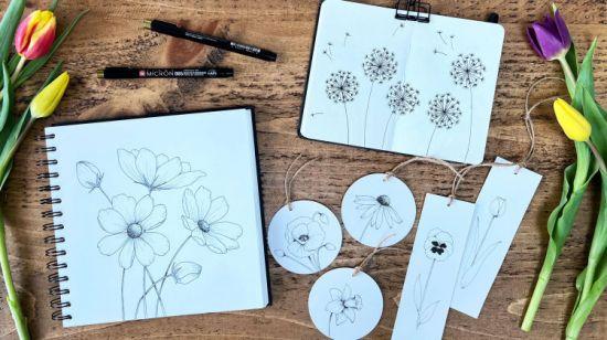 Botanical Drawing for Beginners How to Draw Simple Flowers.jpg