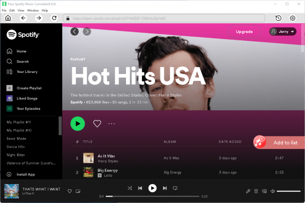 Pazu Spotify Music Converter sc.png