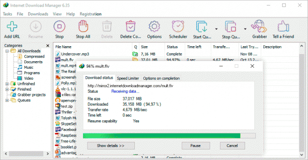 Internet Download Manager 6 screen.gif