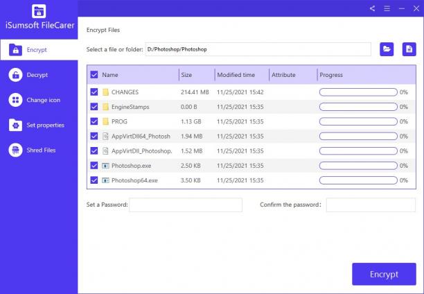 iSumsoft FileCarer screen.jpg